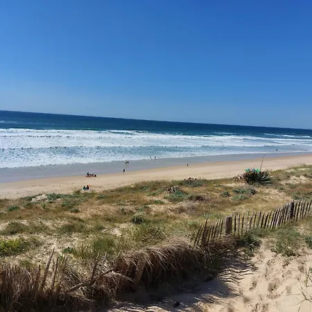 Maison Au Coeur Des Landes Holiday home